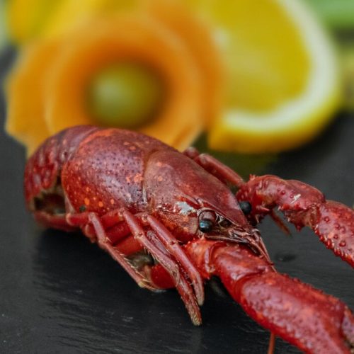 16122646964745_zdj02