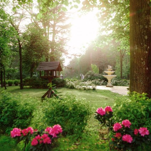 201807111449210.IMG_31912